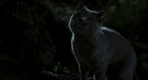 "Nice going, house cat! Just for that, when we carve up the mouse, you'll get the big half!"