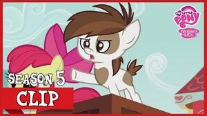 The Presidential Campaign (Crusaders of the Lost Mark) MLP FiM HD