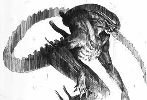 Alien Sketch2