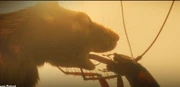 Ezekiel kissing the admiral