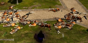 Karsh in Fornost, after he killed Dunedain knights.