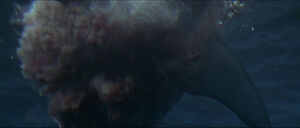 Jaws-movie-screencaps com-14305