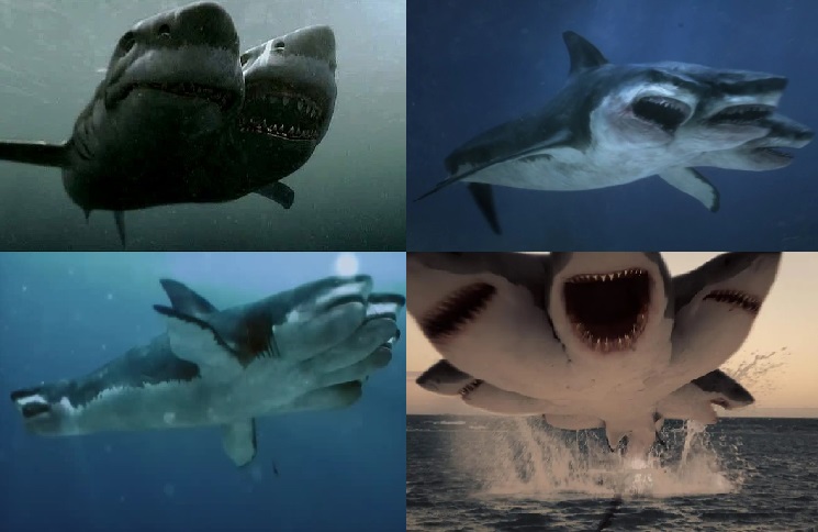 5 Headed Shark