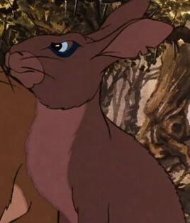 1978 film