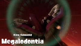 Megalodontia clearer