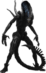 Xenomorph render.png