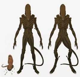 1-ed3Cx7B120HbRdXsaDCUTA