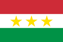 Flag of Medici JC3