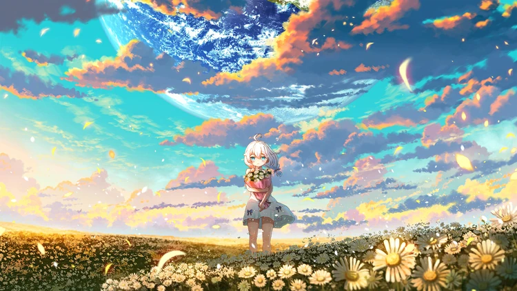 Kiana daisies field