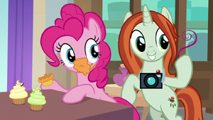 Photographer pulls one of Pinkie's hairs S8E13
