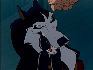 Steele having just accused Balto of stealing from the butcher shop.