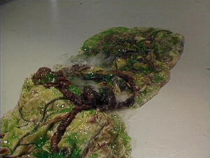 The remains of a dead Andromedan