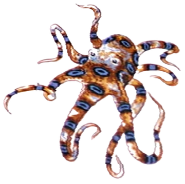 Th Drank eb Octopus Cult | Villains Wiki | Fandom