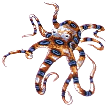 Octopus Cult | Villains Wiki | Fandom