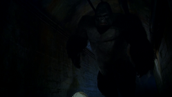 Grodd