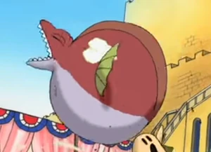 Susshi without his tail.