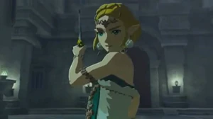 Phantom Zelda attempts to assassinate Queen Sonia.