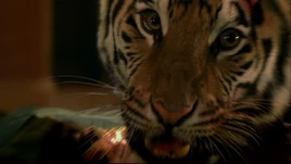 WXI109DWJm3YRUbkXfsMyspwcZ6