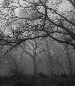 Slenderman in Steinmen Woods.