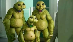 Dax with Bloorm and Korst