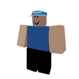 BoboR6