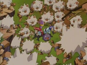 Primeapes besieged by Team Rocket.