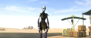 With her past life lying in shambles at her feet, Asajj Ventress' aimless drifting finally comes to a temporary halt in a seedy spaceport tavern on Tatooine.