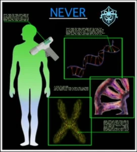 NECRO-OVER Project in Foundation X Database.