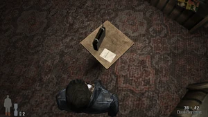 Frankie Niagara 9.png (4.38 MB)