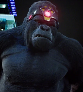 Grodd (Arrowverse)/Gallery | Villains Wiki | Fandom