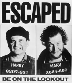 Harry and Marv Escaped