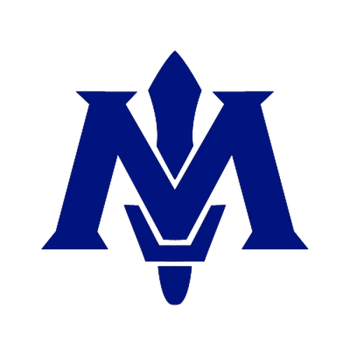 Meta-Knights | Villains Wiki | Fandom