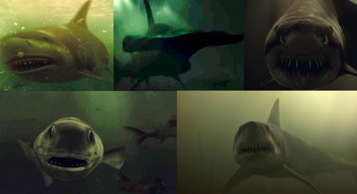 Sharks (Shark Night 3D) | Villains Wiki | Fandom