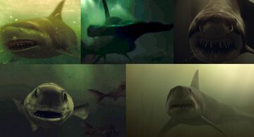 Sharks (Shark Night 3D) | Villains Wiki | Fandom