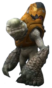 The Lucky Grunt.
