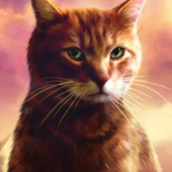 Category:Villains, Warrior Cats Villains Wiki