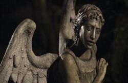 Weeping angel