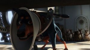 Alpha's defeat