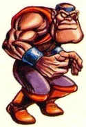 Double Dragon V artwork