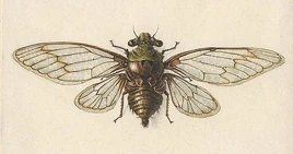 369e5bf90680551ce4b60475dd9eb6d3