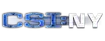 CSI NY logo