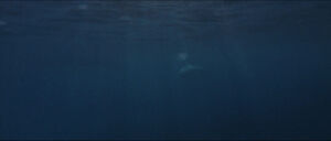 Jaws-movie-screencaps com-13464