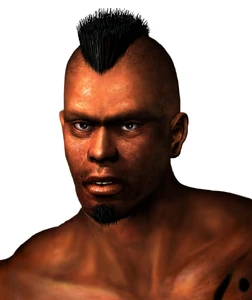 Tekken Tag Tournament portrait.