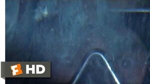Jaws (1975) - Hooper in the Cage Scene (8 10) Movieclips
