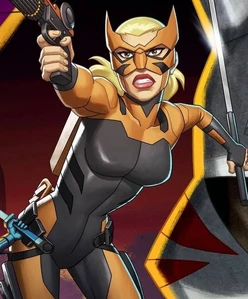 Artemis Crock/Tigress in Young Justice (Season 3)