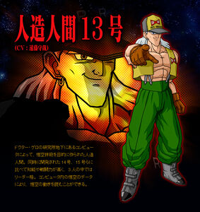 Android 13 in Dragon Ball Z: Budokai Tenkaichi 3