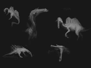 Failed Type-N  Spinosaurus concept art