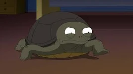 Sheldon the Turtle