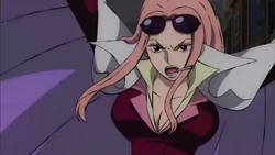 Hina One Piece Villains Wiki Fandom
