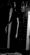 Photo taken by Agent J. Booker, showing an alternate similar to (or literally) N observing him.